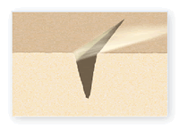 Wrinkle Before Life Cell Cream